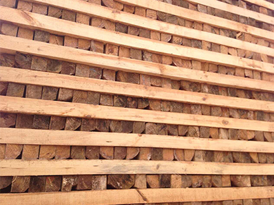 松木木方 松木木方